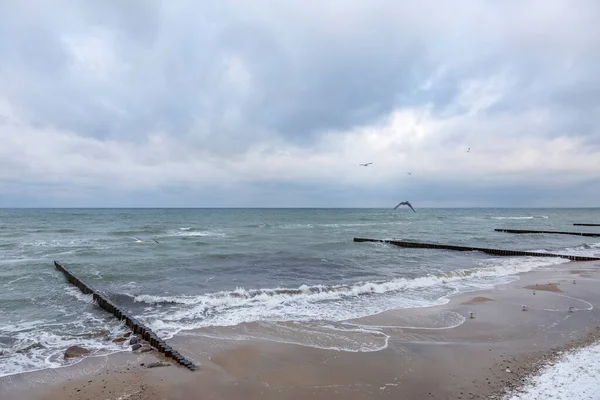 Paysage Marin Hivernal Avec Eaux Mer Baltique Horizon Ciel Nuageux — Photo