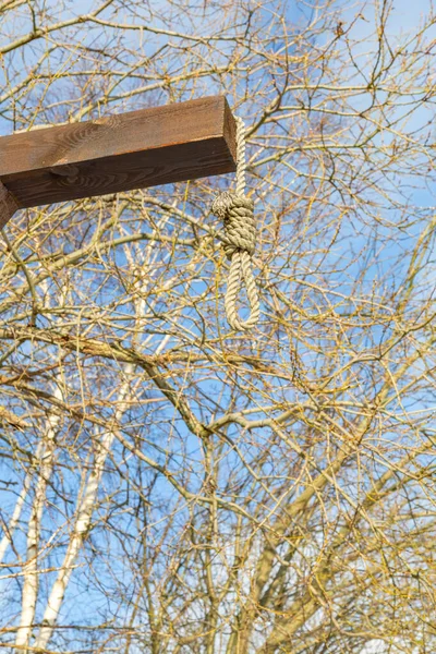 在树枝和蓝天的背景上的木制绞刑架上挂着绳子 — 图库照片