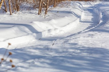 Soğuk kış mevsiminde şehir parkında karla kaplı bir yürüyüş parkında.
