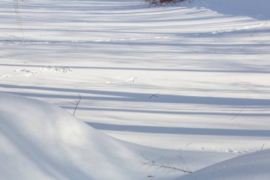 Kış karlı yüzeyde kuş ayak izleri.