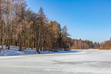 Baharın başlarında kıyıya yakın donmuş su yüzeyinin manzarası.