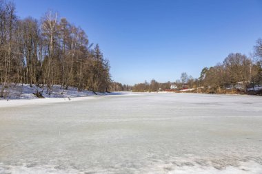 Baharın başlarında kıyıya yakın donmuş su yüzeyinin manzarası.