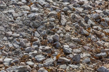 Günlük çevrede işlenmemiş kaba doğal taş, bahçe ve bahçe düzenlemesi