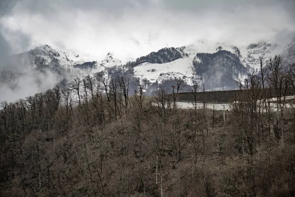 Brume Brumeuse Ciel Spectaculaire Flanc Montagne Avec Des Arbres Vivaces — Photo