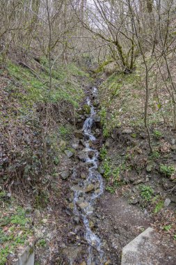 Gündüz vakti ağaçlarla birlikte küçük su akıntısı dağ yamacından aşağı akar.