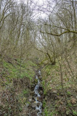 Gündüz vakti ağaçlarla birlikte küçük su akıntısı dağ yamacından aşağı akar.