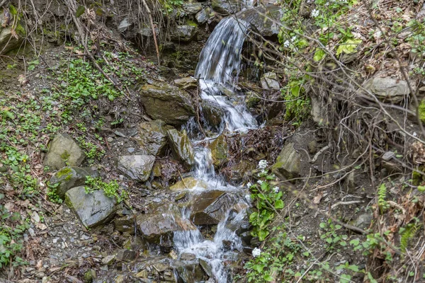 Kleiner Wasserlauf Fließt Tagsüber Den Berghang Hinunter Mit Bäumen — Stockfoto