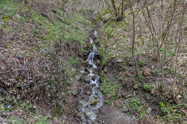 Gündüz Vakti Ağaçlarla Birlikte Küçük Akıntısı Dağ Yamacından Aşağı Akar — Stok fotoğraf