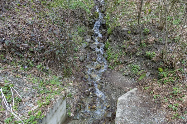 Piccoli Corsi Acqua Scendono Dal Fianco Della Montagna Con Alberi — Foto Stock