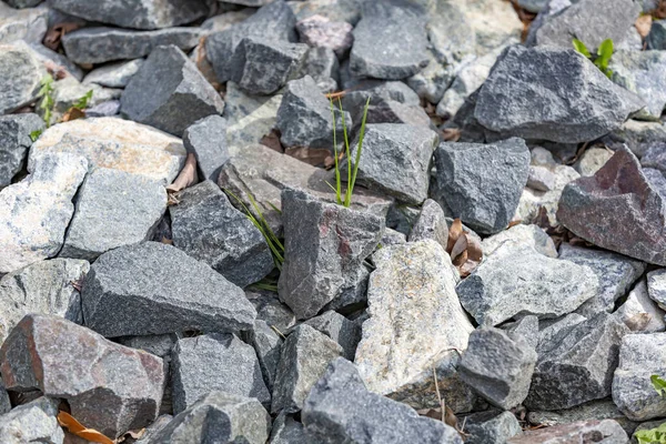 Pietra Naturale Grezza Non Trattata Nell Ambiente Quotidiano Nel Giardinaggio — Foto Stock