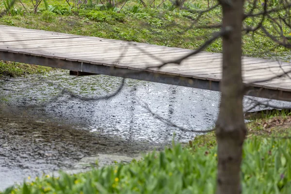A small bridge made of wooden boards without handrails across a narrow stream in a city park