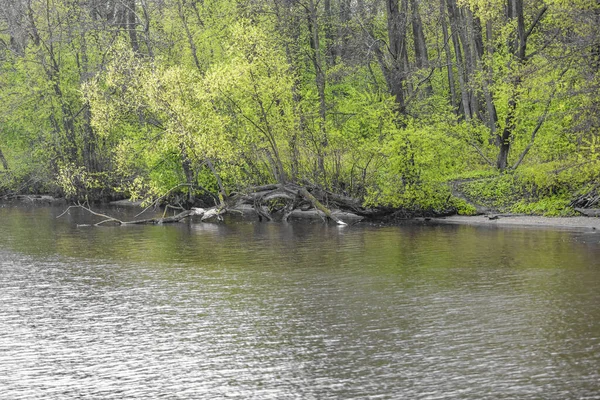 River Landscape May Day Cloudy Rainy Weather Moscow River Russia — Foto de Stock