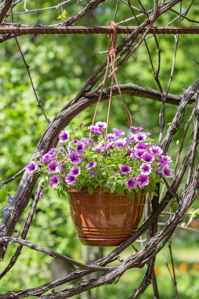 Pot Fleurs Ornemental Suspendu Dans Cour Par Une Journée Été — Photo