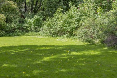 Şehir yaz parkının dinlenme bölgesinde yeşil çimenler.