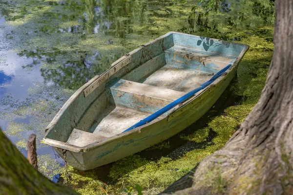 Old Abandoned Iron Boat Duckweed Pond Daytime — Stock Photo, Image