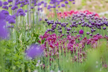 Bahçede ya da avluda rengarenk çiçeklerle güzel bir bahar çiçekliği dekore etme fikri.