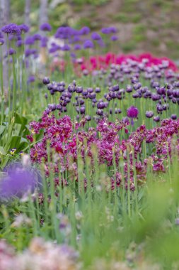 Bahçede ya da avluda rengarenk çiçeklerle güzel bir bahar çiçekliği dekore etme fikri.