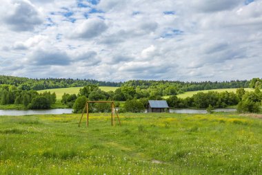 Çayırda çiçek açan ve güzel gökyüzü olan klasik Orta Avrupa kırsal manzarası.