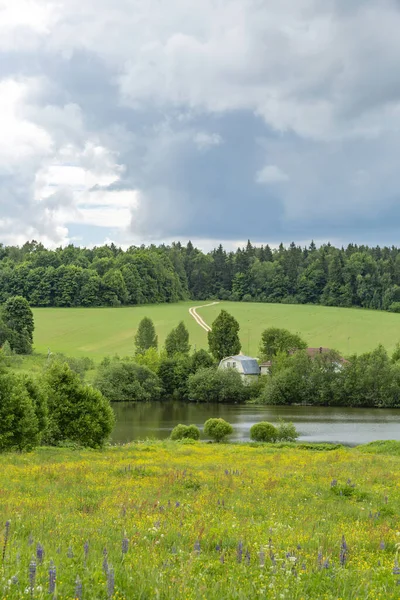 Klassische Mitteleuropäische Landschaft Mit Blühenden Blumen Auf Der Wiese Und — Stockfoto