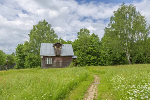 Yayaların yaz aylarında yeşil bir şehir parkında yürümeleri için bir yol.