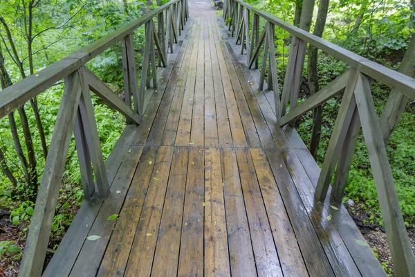 Mały Most Drewnianych Desek Poręczami Przez Wąski Strumień Parku Miejskim — Zdjęcie stockowe