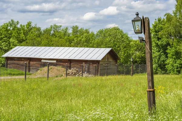Gündüz vakti, ormandaki yeşil ağaçların arasında siyah antika demir fener.
