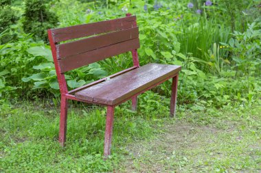 Yazın bir şehir parkında ahşaptan yapılmış bir bank.