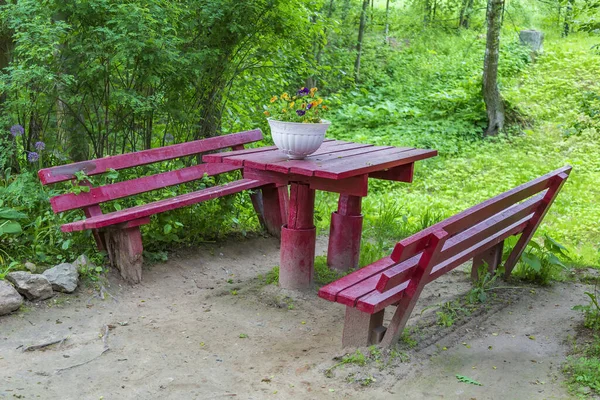 Recreation Bench Made Wood City Park Summer — Stock Photo, Image
