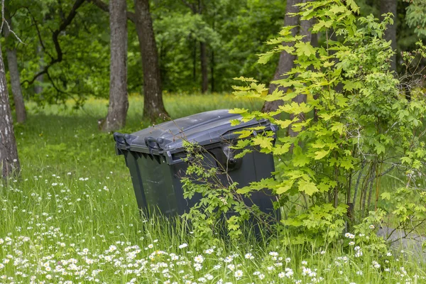 Large Plastic Garbage Container Stands Green Summer Forest — Foto de Stock