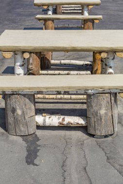 Boş bir bank ve doğal huş ağacından yapılmış bir masa.