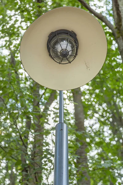 昼間の公園内にある古鉄灯籠 — ストック写真