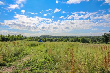 Yazın, güneşli bir günde ufuk çizgisi ve çiçek açan bitkilerle dolu kırsal bir arazi.