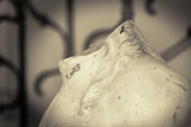 Kafası olmayan beyaz alçıdan yapılmış kimliği belirsiz bir kadının heykeli.