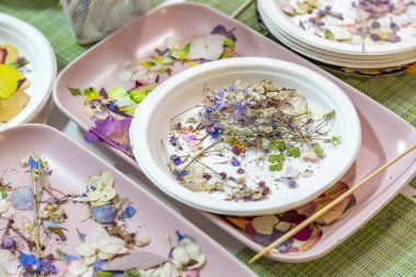 Tasarım, dekor ve yaratıcılık için kuru otlar ve çiçek yaprakları