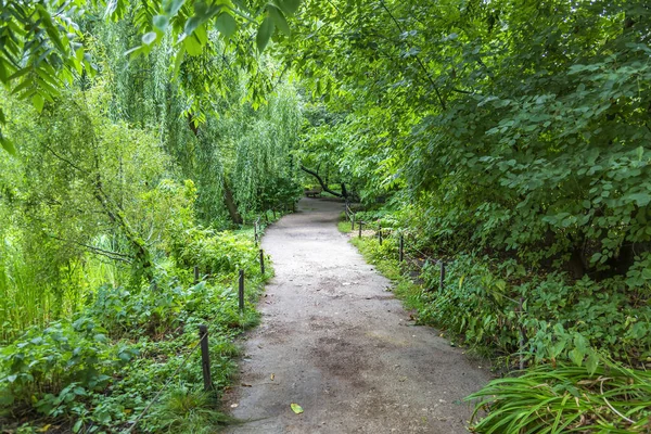 Шлях Пішоходів Гуляти Зеленому Міському Парку Літній День — стокове фото
