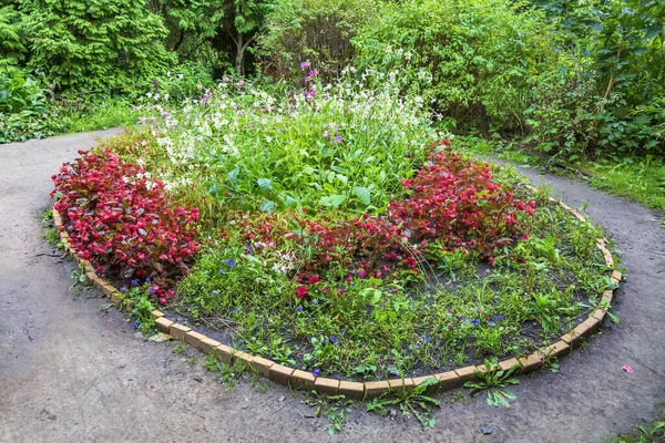 Tanken Att Dekorera Vacker Sommar Blomma Säng Med Flerfärgade Blommande — Stockfoto