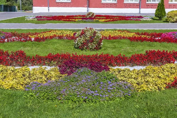 Idea Decorating Beautiful Summer Flower Bed Multi Colored Blooming Flowers — Stock Photo, Image