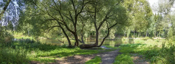 Parque Natural Riviera Com Vegetação Brilhante Cidade Verão Mozhaysk Rússia — Fotografia de Stock