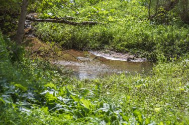 Şehir yaz parkında gölgeli bir dere ve yeşillik