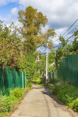 Avrupa kırsalında gündüz vakti otantik dar asfalt yol