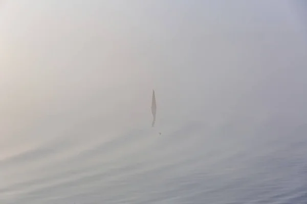 Calm River Water Surface Iron Navigation Buoy — Stock Photo, Image