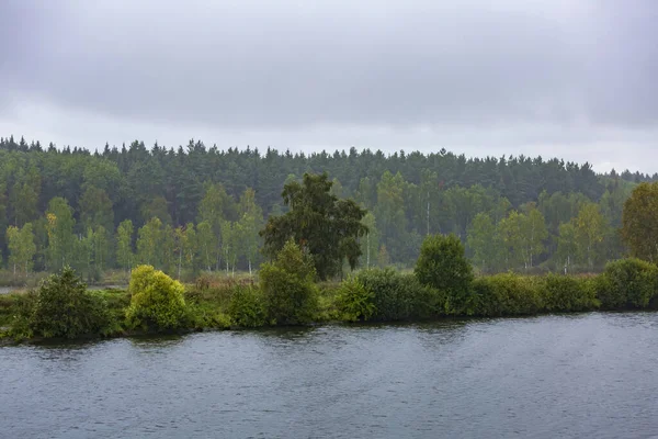 Сценічний Річковий Ландшафт Зеленими Деревами Початку Осені — стокове фото