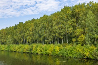 Sonbaharın başlarında yeşil ağaçlı manzaralı nehir manzarası