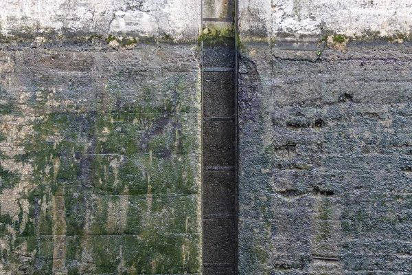 Çizik ve çatlaklarla kaplı gri beton duvarın desenli yüzeyi.