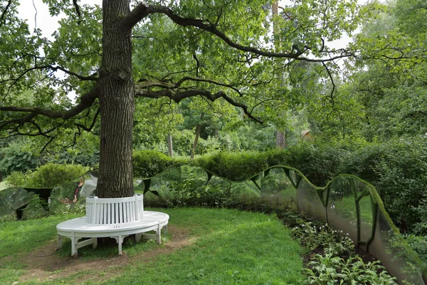 Bench around tree — Stock Photo, Image