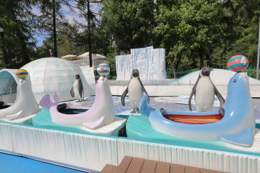 Penguenler ile cazibe