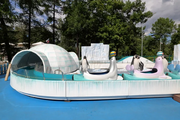 Penguenler ile cazibe