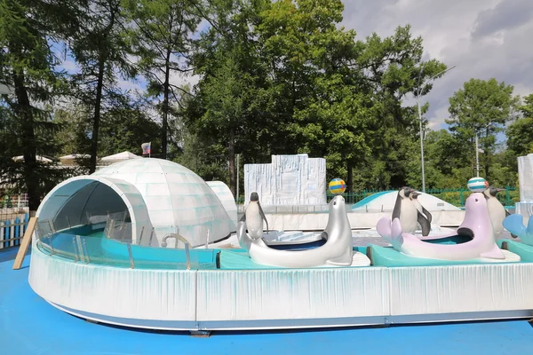 Penguenler ile cazibe