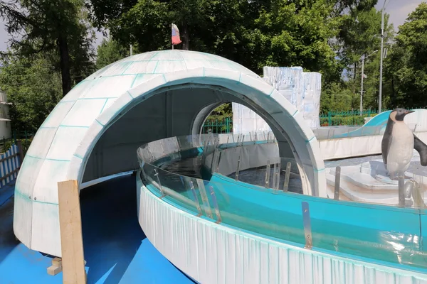 Penguenler ile cazibe