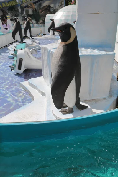 Atração com pinguins — Fotografia de Stock